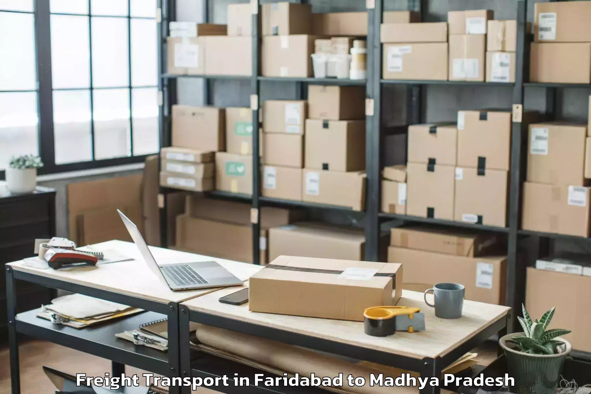 Trusted Faridabad to Petlawad Freight Transport